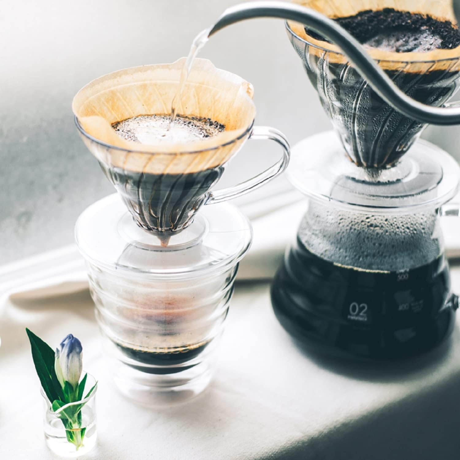 Hario V60 Plastic Coffee Dripper
