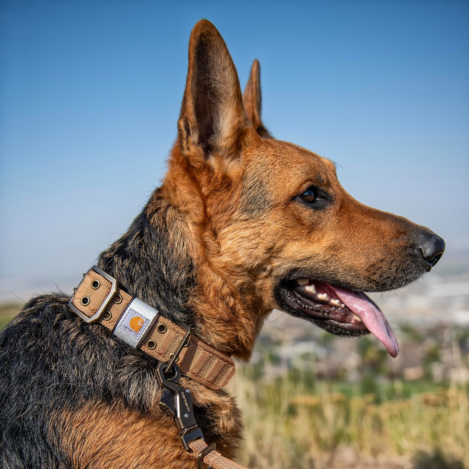 Carhartt Dog Collars