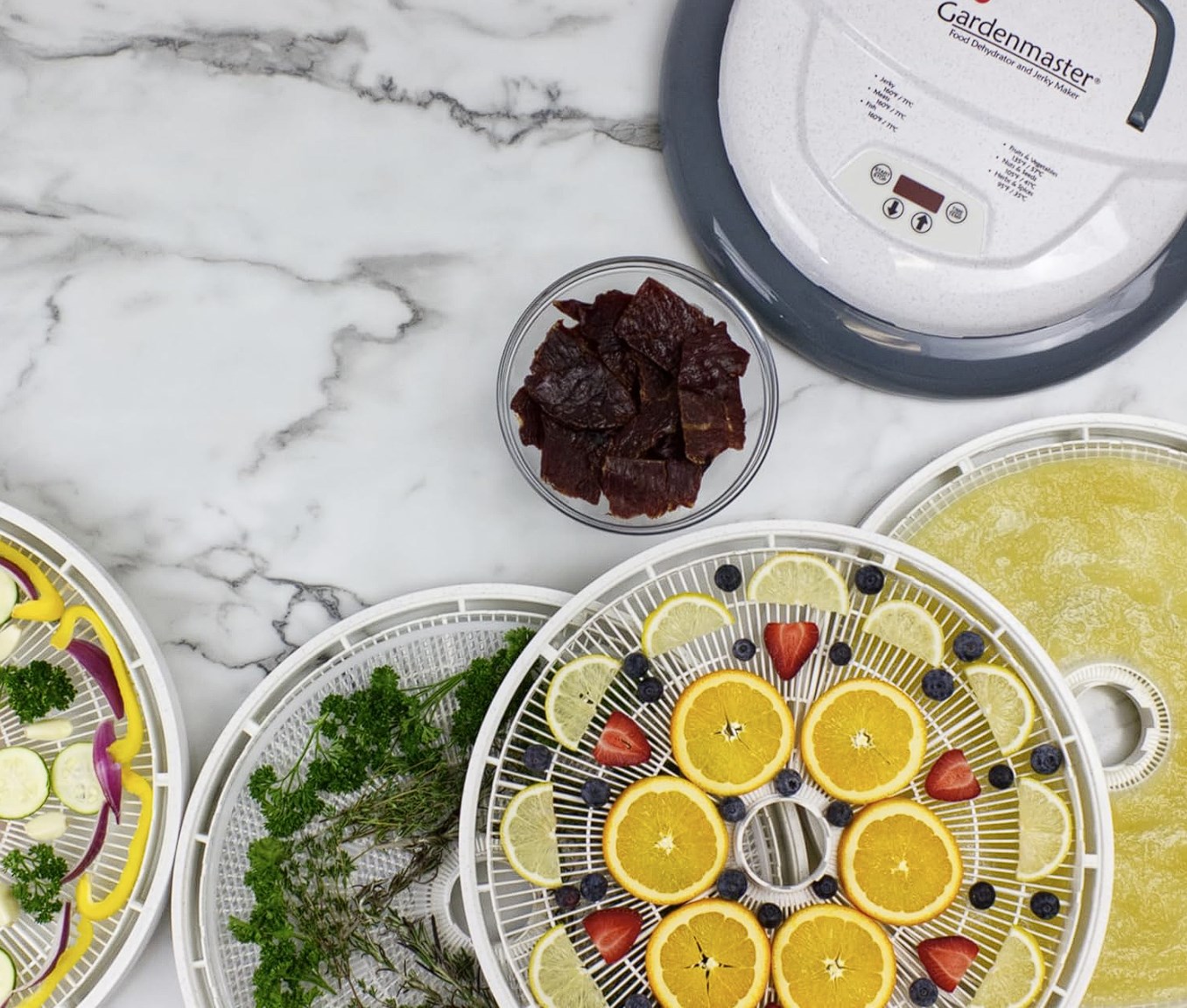 NESCO Gardenmaster Dehydrator