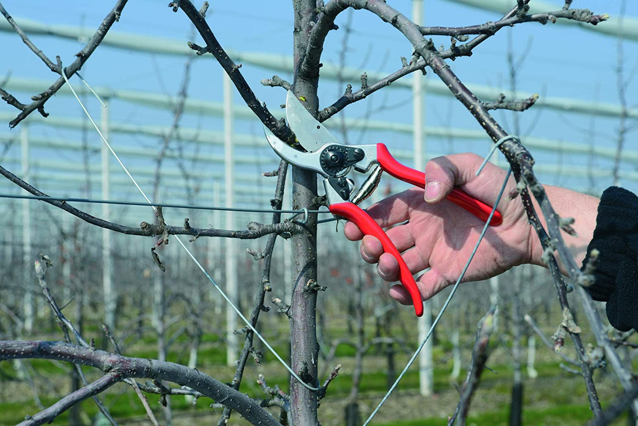 FELCO F-2 068780 Classic Hand Pruner