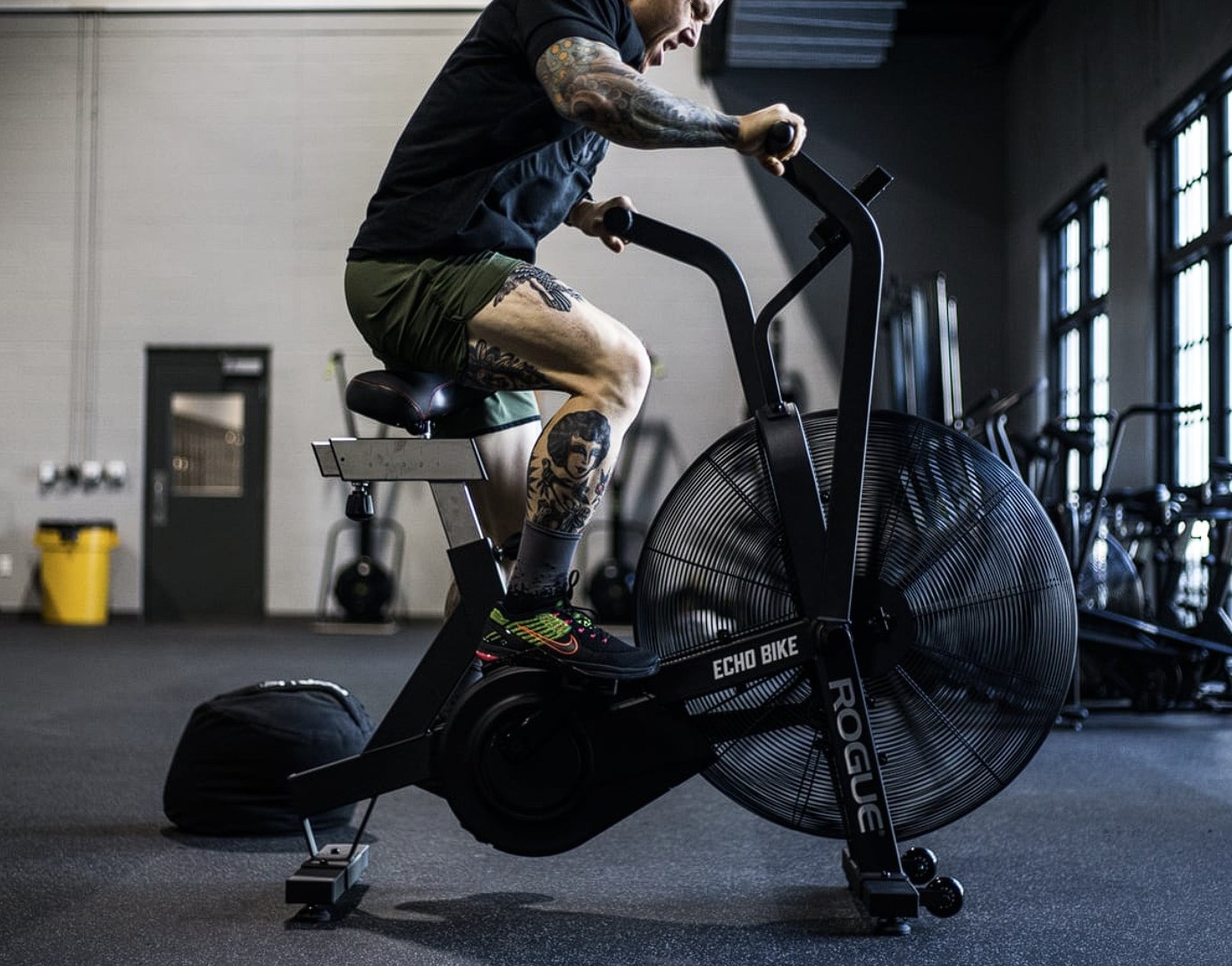 Rogue Echo Exercise Bike